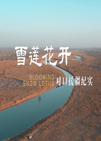 雪莲花开:对口援疆纪实
