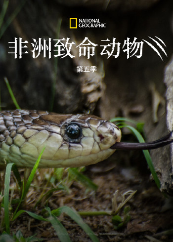 国产区在线视频就爱